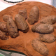 Image for article titled Why Did Scientists Mistake This Ancient Bird Egg For A Dinosaur Egg?